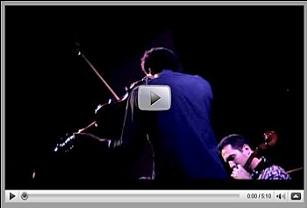 click to view "Dog Days" video